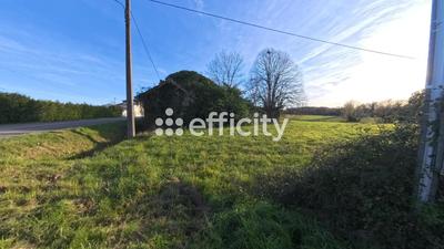 Terrain - 14 992 m²