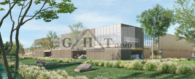 Entrepôt - 3 537 m²