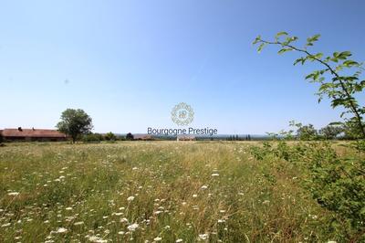 Propriété - 154 m² - 6 pièces