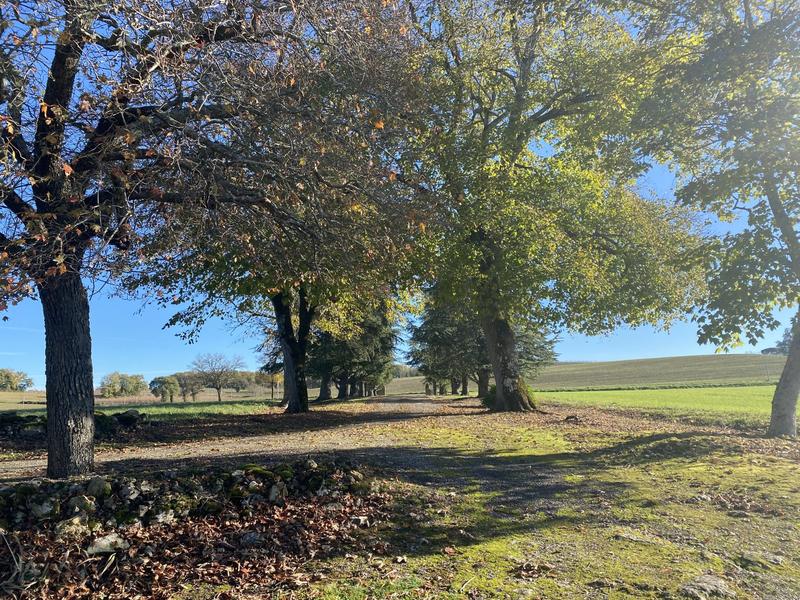 Maison - 400 m² - 12 pièces