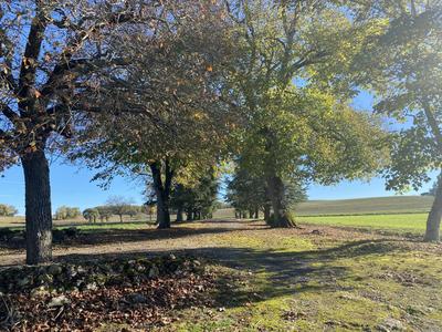 Maison - 400 m² - 12 pièces