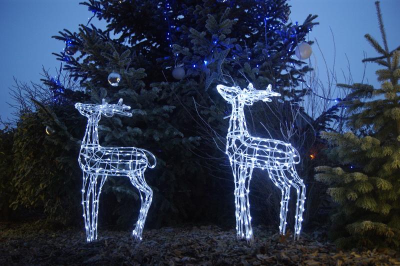 Chasse aux trésors de Noël : la Petite Pierre précieuse