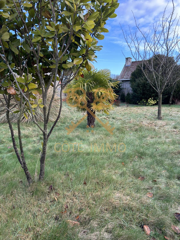 Maison - 250 m² - 8 pièces