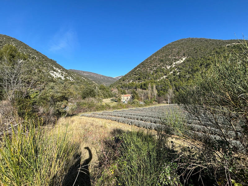 Mas - 218 m² - 7 pièces