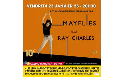 Mayflies - Tribute Ray Charles