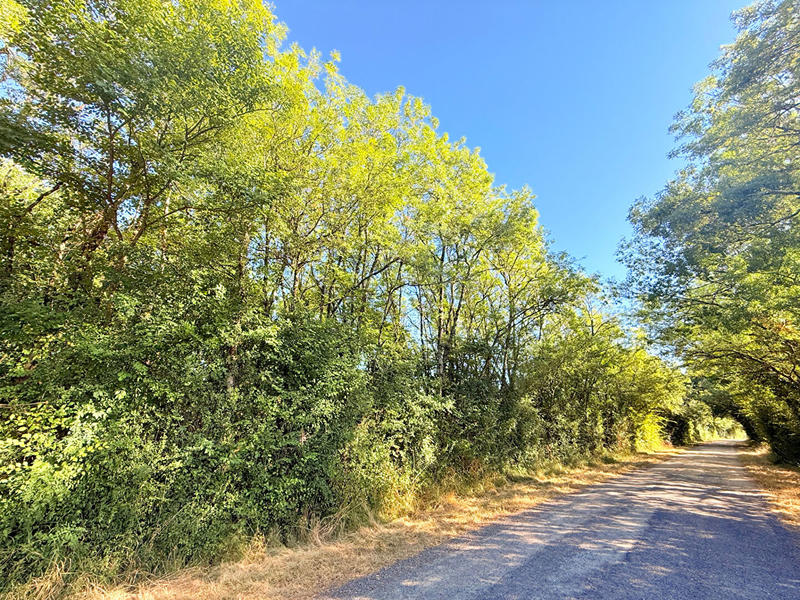 Terrain de loisirs - 7 830 m²