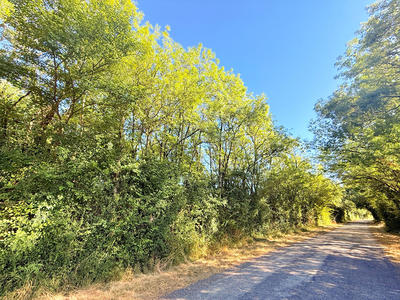 Terrain de loisirs - 7 830 m²