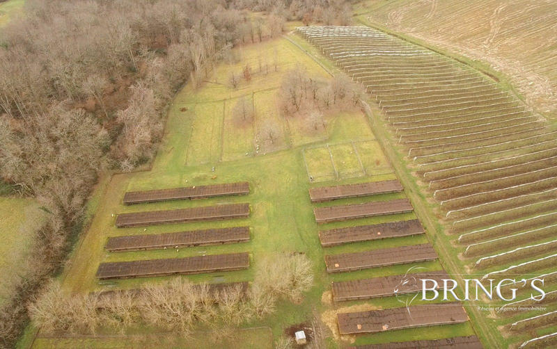 Maison ancienne - 283 m² - 8 pièces