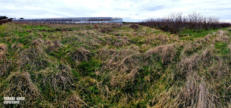 Terrain agricole - 120 000 m²