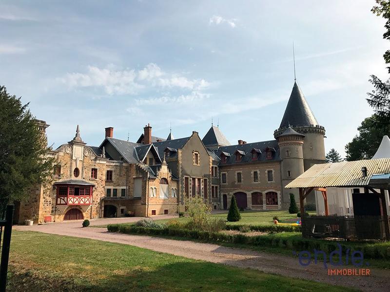 Château - 3 800 m² - 36 pièces