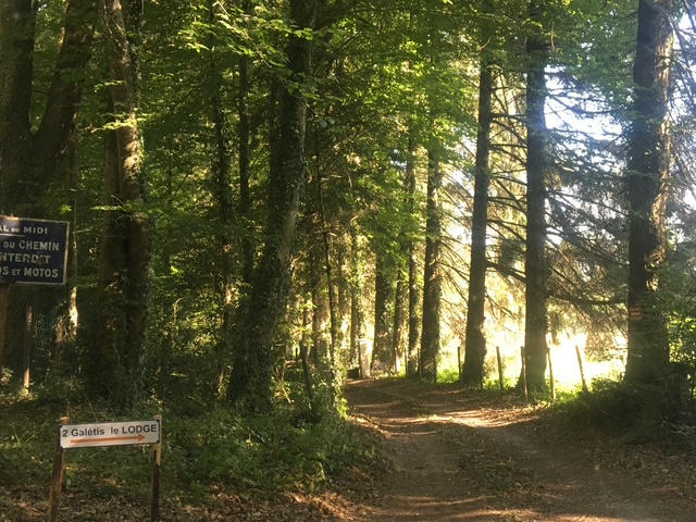 Propriété - 600 m² - 14 pièces