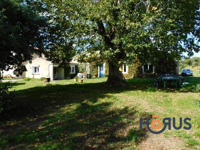 Viager - Maison ancienne - 210 m² - 4 pièces