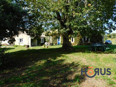 Viager - Maison ancienne - 210 m² - 4 pièces