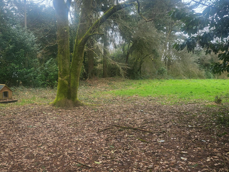 Maison - 169 m² - 6 pièces