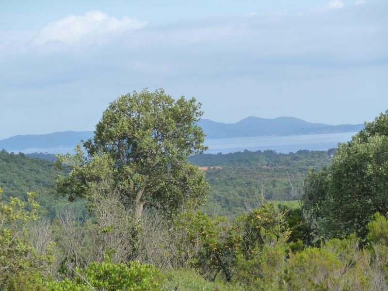 Terrain de loisirs - 18 269 m²