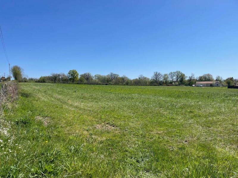 Terrain - 17 856 m²