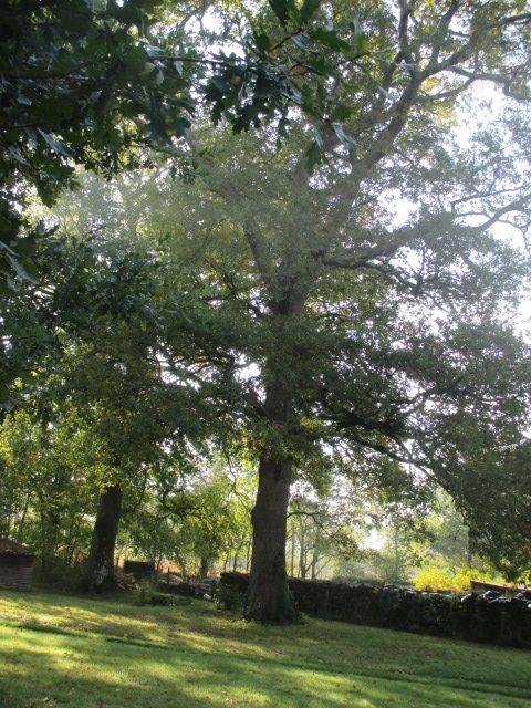 Maison - 141 m² - 6 pièces