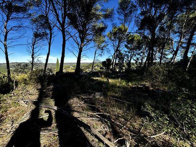 Terrain - 10 500 m²