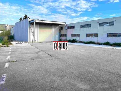 Local d'activité / Entrepôt - 1 915 m²
