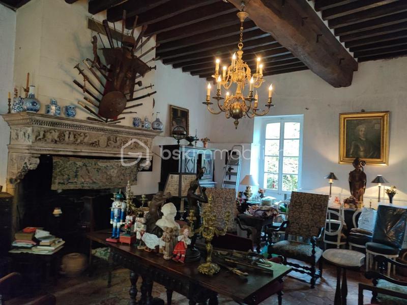 Maison de maîtres - 310 m² - 12 pièces