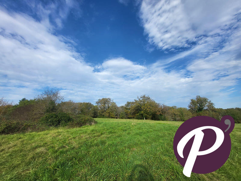 Terrain - 14 806 m²