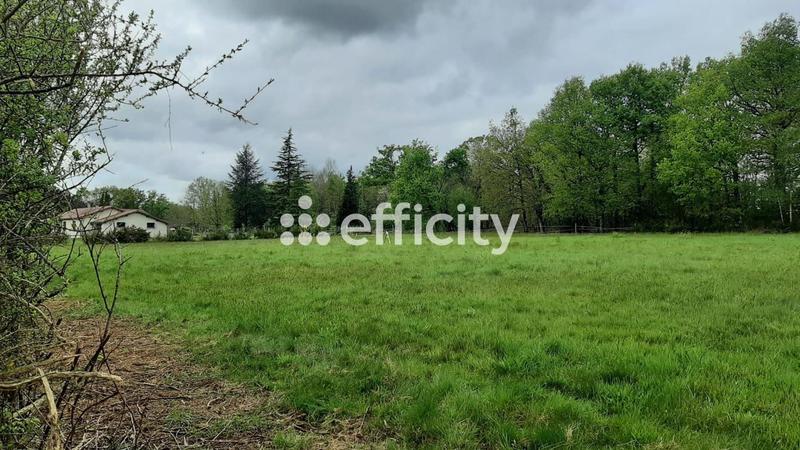 Terrain - 1 273 m²