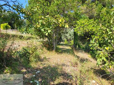 Terrain constructible - 1 222 m²