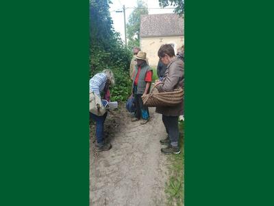 Une journée à la campagne en famille : l'herboristerie