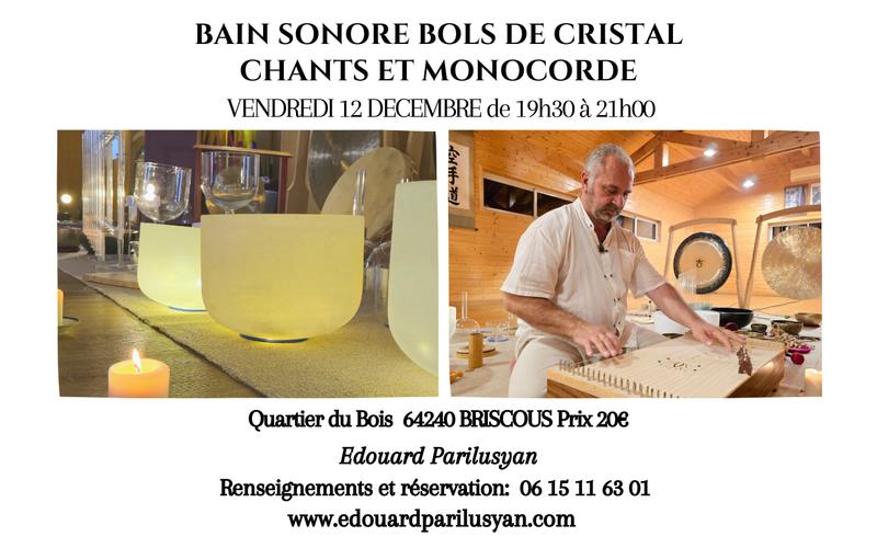 Bain sonore, bols de cristal, chant et monocorde