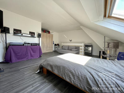 Duplex - 50 m² - 2 pièces