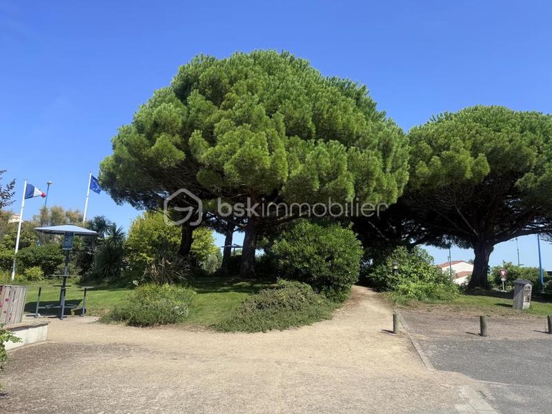 Appartement - 53 m² - 3 pièces