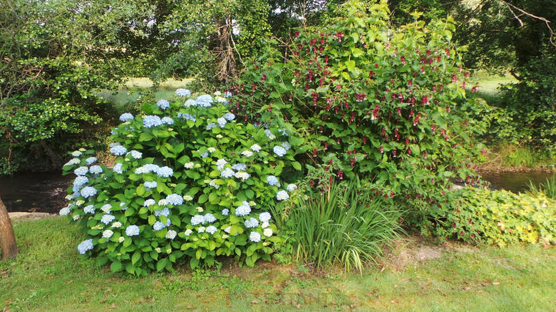 Maison - 185 m² - 4 pièces