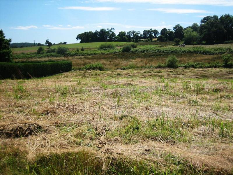 Terrain constructible - 2 850 m²