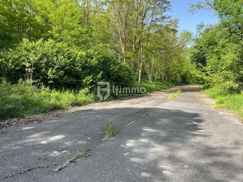 Terrain - 77 171 m²