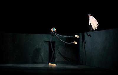 Vers les métamorphoses