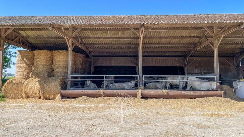 Corps de ferme - 142 m² - 5 pièces