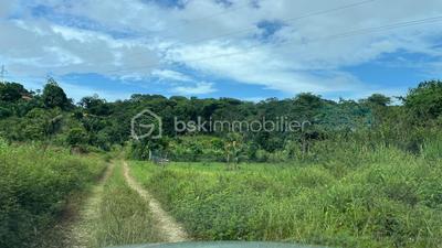 Terrain de loisirs - 1 004 m²