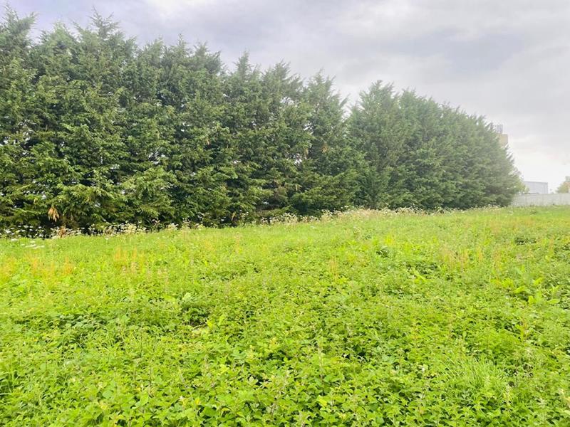 Terrain constructible - 2 213 m²