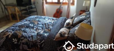 Chambre - 20 m² - 1 pièce