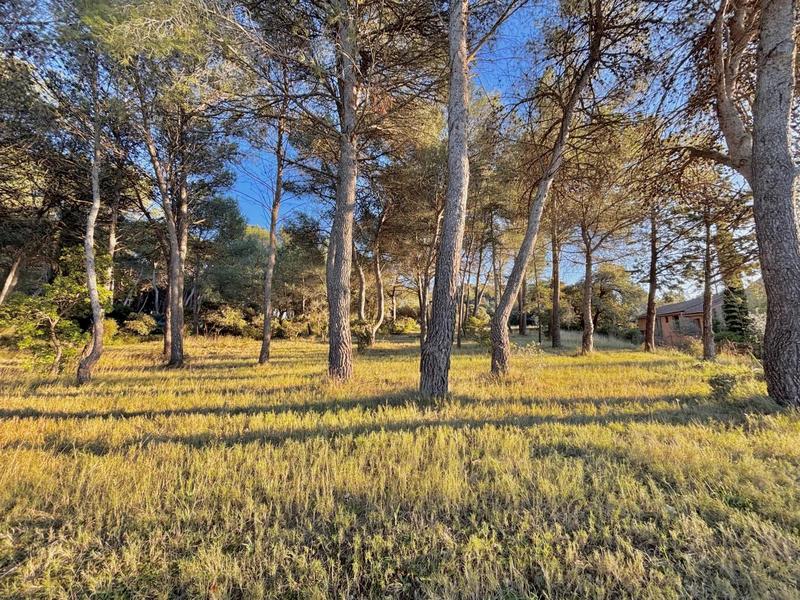 Maison - 190 m² - 6 pièces