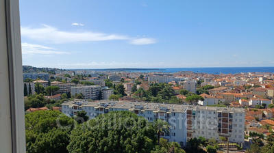 Appartement - 20 m² - 1 pièce