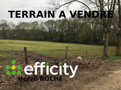 Terrain - 700 m²