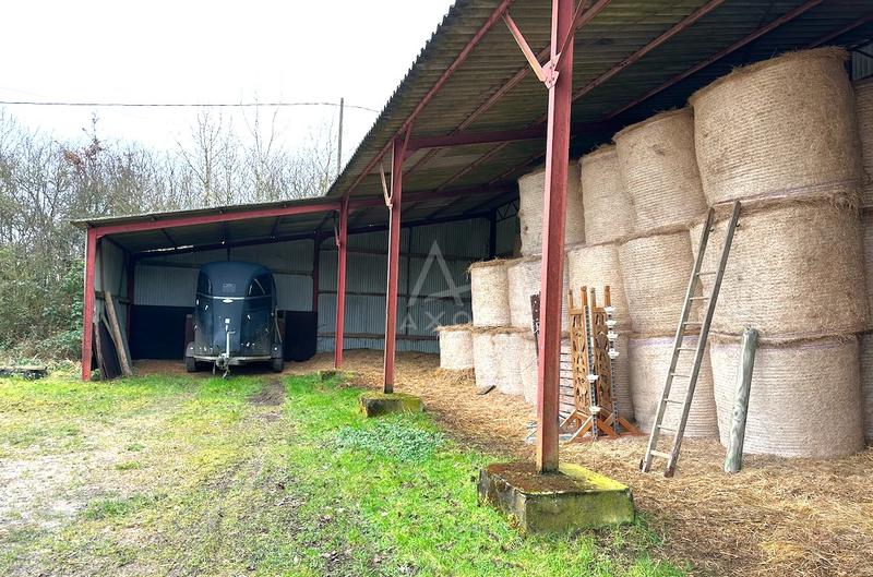 Haras - 110 m² - 5 pièces