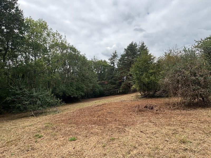 Terrain constructible - 2 247 m²