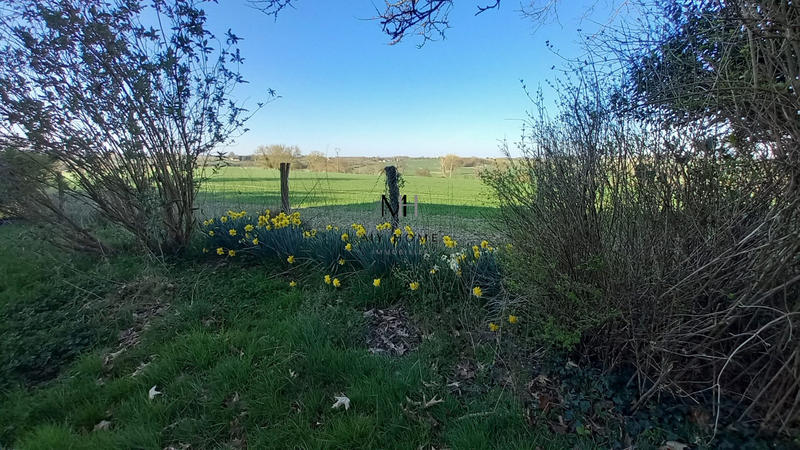 Maison - 185 m² - 7 pièces