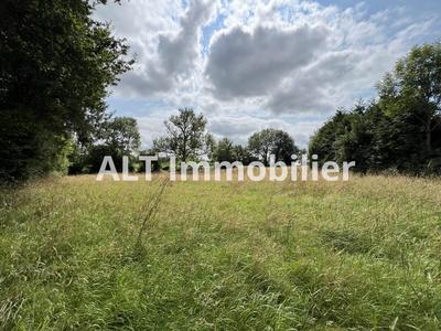 Terrain - 4 005 m²