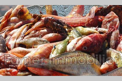 Fonds de commerce - Magasins