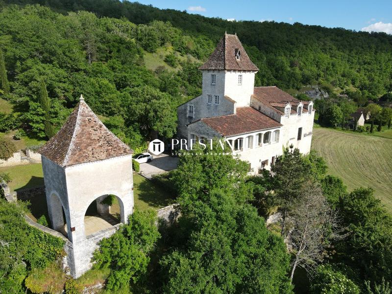 Château - 422 m² - 9 pièces