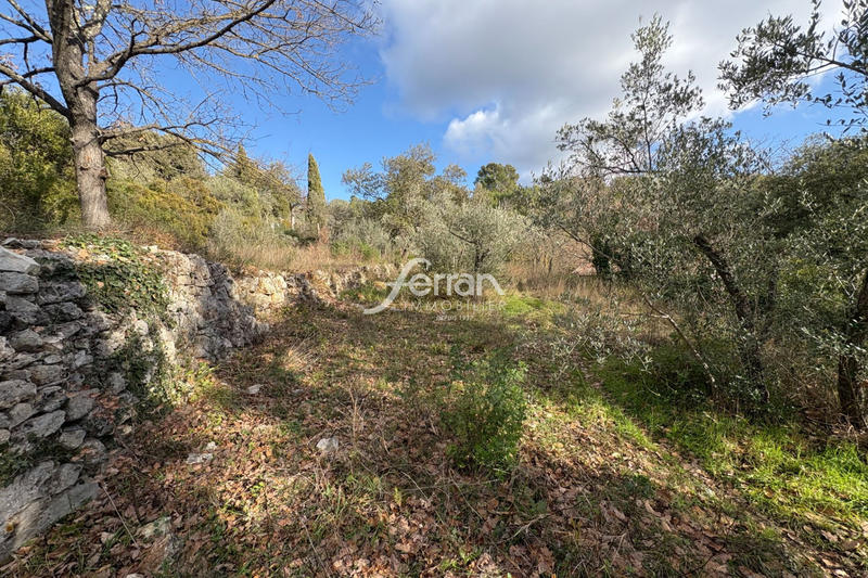 Terrain - 1 411 m²