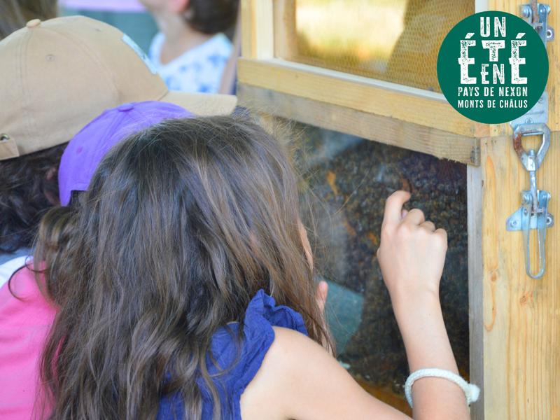 À la rencontre des producteurs - la Miellerie Dandelion